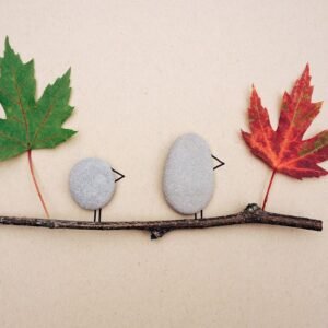 Personal Pet Rocks (Family Edition) - Outdoor Series